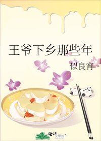 王爺下鄉那些年